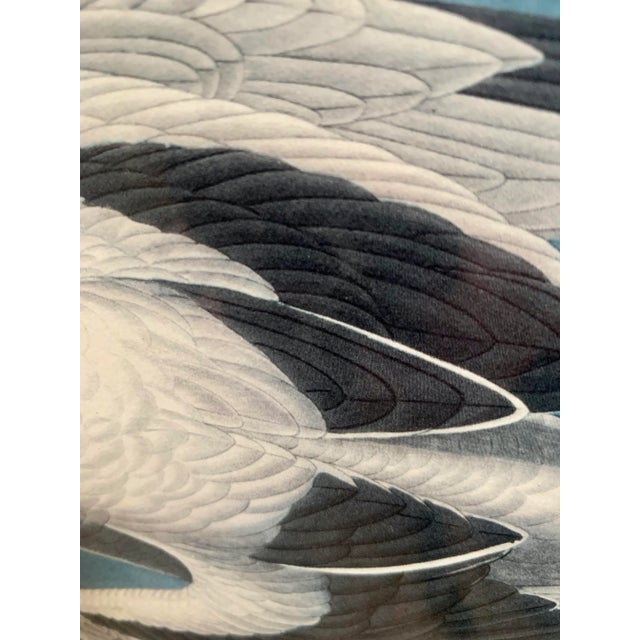 Vintage 1960s Chromolithograph Print of John James Audubon’s Octavo Plate 262, Framed For Sale - Image 9 of 13