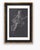 Atelier Aria Lumae Wilhelm Zahn Pompeian Flora Primavera Fresco Graphite Study High Contrast Fine Art Gallery Board Print 16 X 24 For Sale - Image 10 of 16