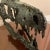 Early 21st Century Early 21st Century Bronze Artist Made Brutalist Style Dinosaur Head Sculpture For Sale - Image 5 of 5