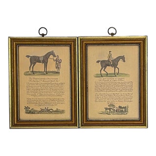 Pair of 19th Century Horse Engravings For Sale