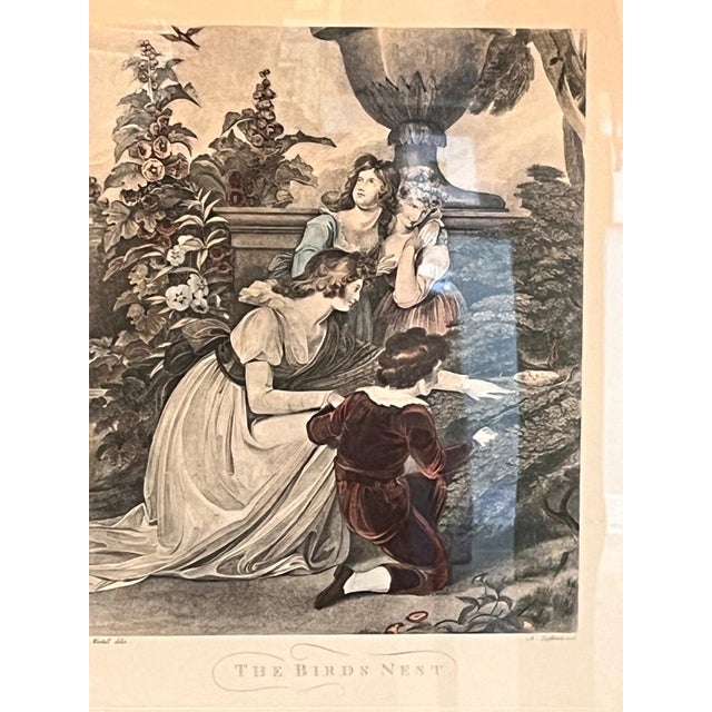 Hollywood Regency 1920s The Birds Nest R. Westall A. Zaffonato Hand-Colored Engraving Regency - Set of 2 For Sale - Image 3 of 17