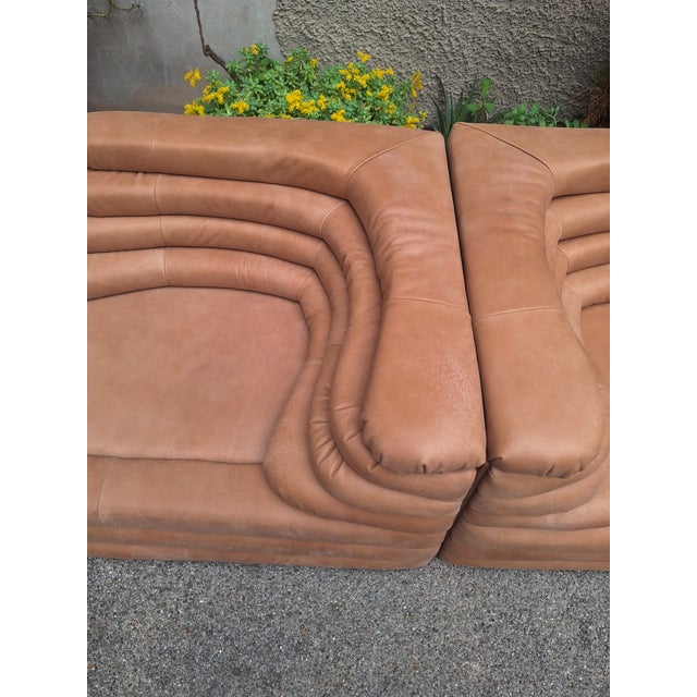 Animal Skin Modern Model DS1025 Modular Sofa in Brown Leather by Ubald Klug for de Sede, 2000s, Set of 2 For Sale - Image 7 of 11