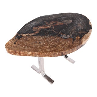 One Slab Living Edge Petrified Wood Console Table W Stainless Stand 52 For Sale