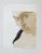 Vintage tonal watercolor and pencil portrait study painting of woman. Unsigned. Unframed.