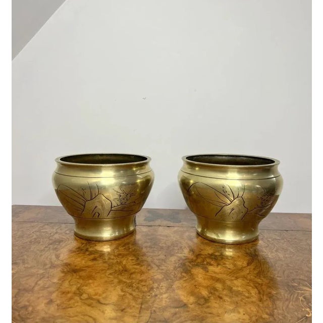 Edwardian Brass Jardinieres, 1900, Set of 2 For Sale - Image 3 of 8