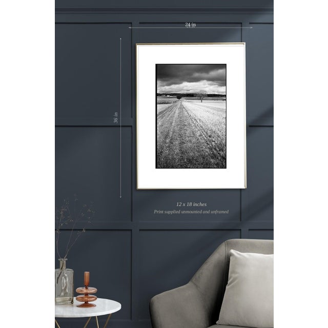 Not Yet Made - Made To Order Paul Cooklin, Crop Field, Couziers, Edition of 50 For Sale - Image 5 of 7