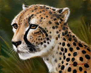 Original Cheetah Oil Painting on Canvas – By Grossman – 8" X 10" Unstretched Canvas