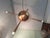 Chandelier in Copper Brass and Colored Glass 4 Copper Cones For Sale - Image 13 of 18