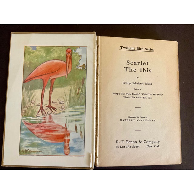Rare Early 20th Century Book by George E. Walsh Titled Scarlet the Ibis Circa 1918 For Sale - Image 9 of 9