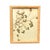 1893 Herbarium Botanical Specimens, Set of 12 For Sale - Image 10 of 17