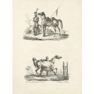 After Carle Vernet, Arabian Horse & Cavalry, 1825, Lithograph For Sale