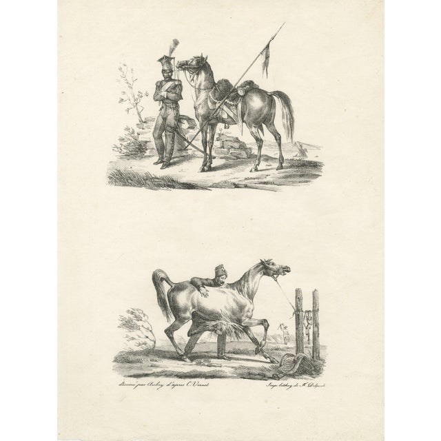 After Carle Vernet, Arabian Horse & Cavalry, 1825, Lithograph For Sale
