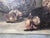 Chevalard, Still Lifes with Game & Fruit, Oil, Set of 2 For Sale - Image 7 of 14
