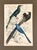 An original 1835 hand-colored hummingbird engraving, newly presented in a dark frame with an archival olive mat. This is...
