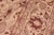 1990s Shabby Chic 1990's Pak-Persian Beige/Brown Wool Rug - 8'3'' X 10'3'' For Sale - Image 5 of 9