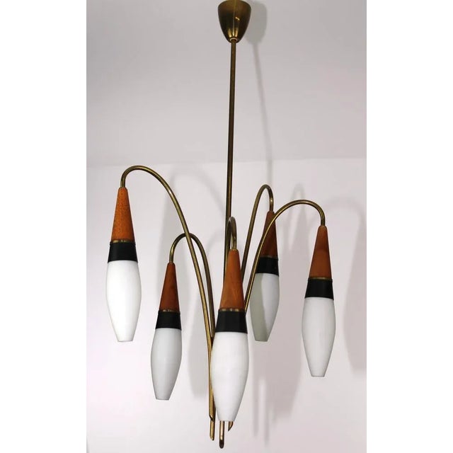 Brown Lily of the Valley Chandelier from Rupert Nikoll, 1950s For Sale - Image 8 of 13