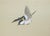 1960s "Blue and White Flycatchers and Blossoming Plum Tree", Showa Japanese Byobu Screen For Sale - Image 13 of 18
