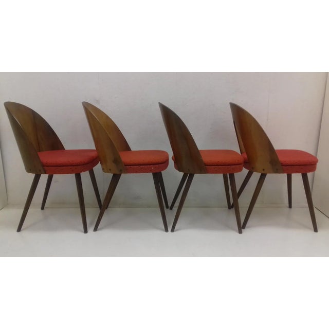 Wood Dining Chairs by Antonín Šuman, 1960s, Set of 4 For Sale - Image 7 of 11