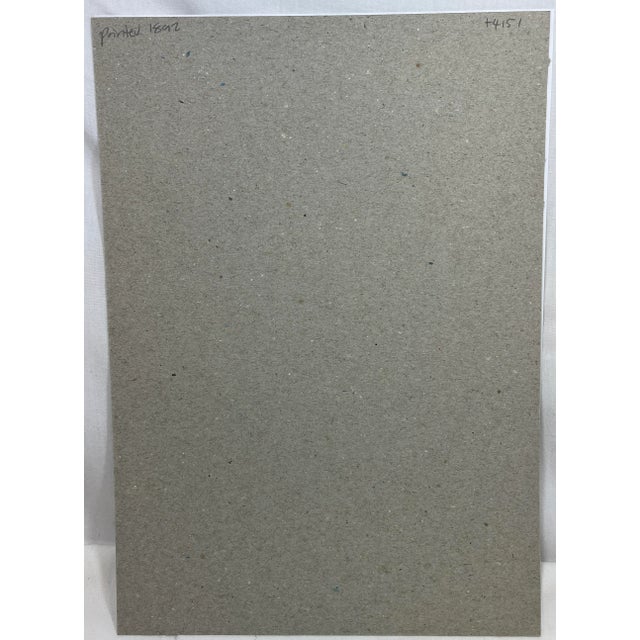 Antique Botanical Print From England Showcasing Cheerful Yellow Double Daffodil Flowers With Green Foliage - Circa 1892 For Sale - Image 11 of 11