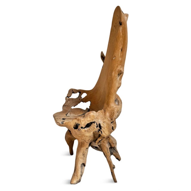Early 21st Century Vintage Organic Modern Teak Root Chair For Sale - Image 5 of 7