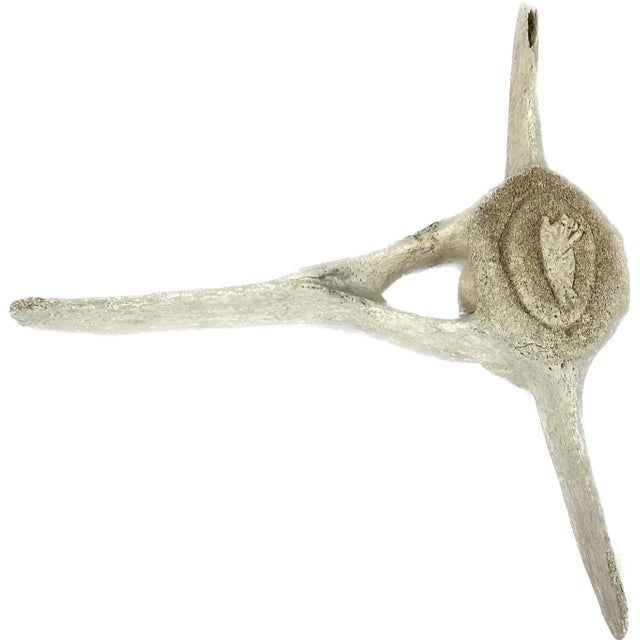 Contemporary Fossilized Carved Whale Vertebrae #16 For Sale - Image 3 of 11