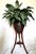 English Vintage English Style Mahogany Jardinieres/ Wine Coolers - A Pair For Sale - Image 3 of 17