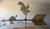 This folky rooster weather vane with a snail trailing behind.This hand made weather vane has a wonderful old aged...