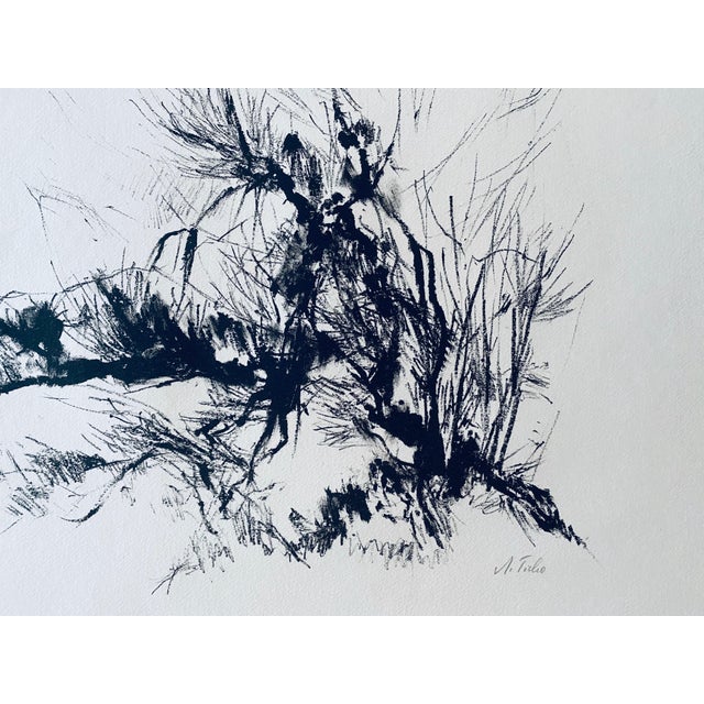 Anna Ticho, German Israeli Expressionist Abstract Bush in Judea Lithograph For Sale - Image 4 of 8