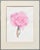 Watercolor of a pink rose with a stem on laid paper by Barbara Gibson (20th Century). Presented in a double mat in a...