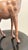 Mid-Century Leather American Style Ram For Sale - Image 10 of 11