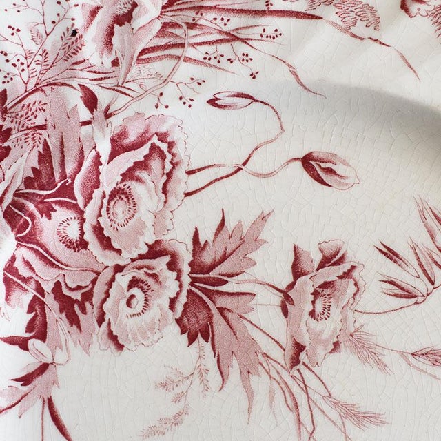 Clarice Cliff Clarice Cliff for Royal Staffordshire Porcelain Dinner Plate in Harvest Pattern For Sale - Image 4 of 5