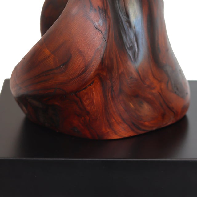 2020s Together Bound - Medium Size Abstract Organic Form Redwood Sculpture Original Artwork by Joe Garnero For Sale - Image 5 of 12