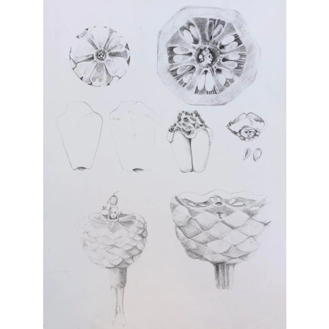 19790s Adrienne Anderson Modern Lithograph For Sale