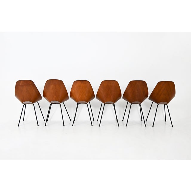 1950s Dining Chairs by Vittorio Nobili for Frattelli Tagliabue, 1950s, Set of 6 For Sale - Image 5 of 11
