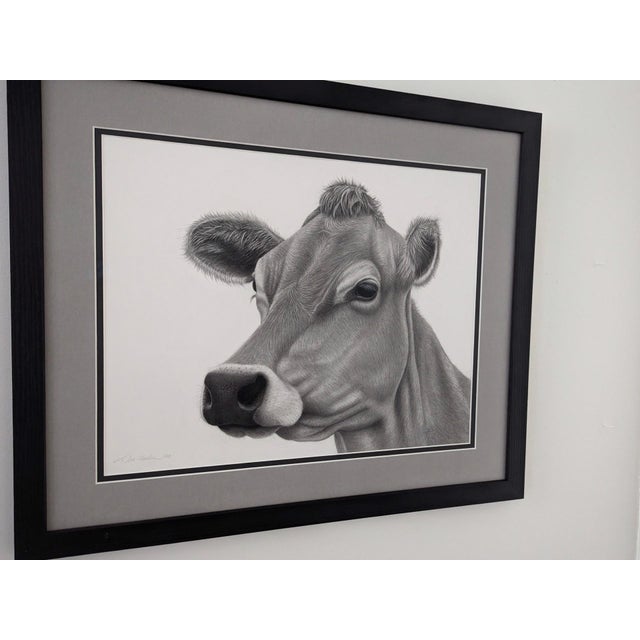 This graphite drawing captures the serene expression of a Jersey cow, highlighting its gentle features and textured fur...
