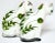 Mid 20th Century Large Mid 20th Century Wemyss Ware Pottery Cats for Jan Plichta of London - A Pair For Sale - Image 5 of 7