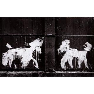 Carlos Gustavo, Two Peter Mayer Dogs on Dumpster, Gelatin Silver Print For Sale