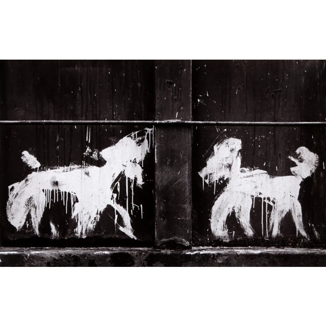 Carlos Gustavo, Two Peter Mayer Dogs on Dumpster, Gelatin Silver Print For Sale