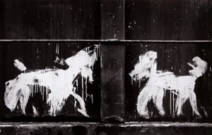 Carlos Gustavo, Two Peter Mayer Dogs on Dumpster, Gelatin Silver Print