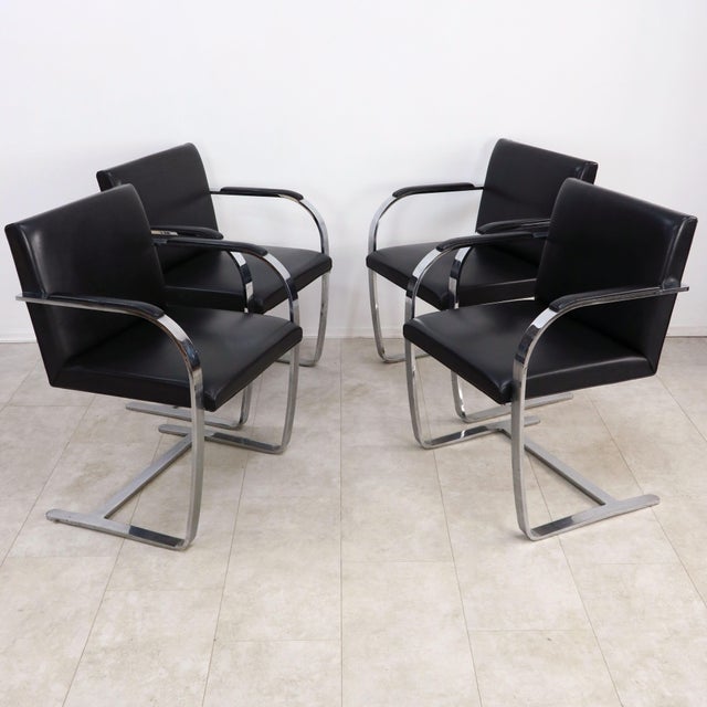 Brno Armchairs by Ludwig Mies van der Rohe for Knoll International, 1980s, Set of 4 For Sale - Image 13 of 14