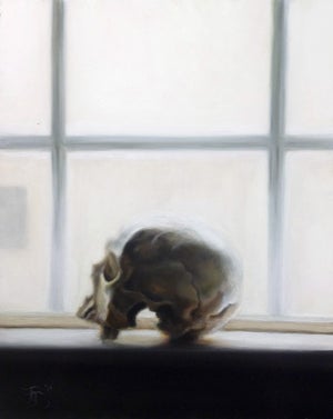 Skull Study by John Lally | Oil on Board Still Life of a Skull on a Windowsill