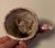 Antique 19th Century English Staffordshire Pink Luster Satyr Head Mug With Frog Inside For Sale - Image 11 of 12