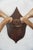 Elk Antler Mounted on Wooden Plaque For Sale - Image 13 of 16