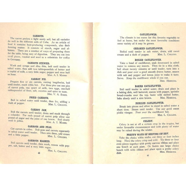 "The Tropical Cook Book Treating Mainly of the Preparation of Tropical Fruits and Vegetables" 1909 Ladies' Club of Herradura For Sale - Image 9 of 12