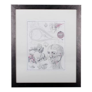 1833 Oken Anatomical Eye Engraving For Sale