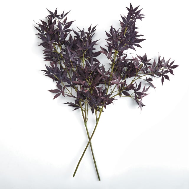 The distinctive vibrant burgundy hue of the Maple branch is captured so beautifully with this faux version. Add to an...