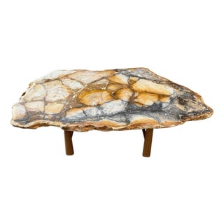 Andrianna Shamaris Beautiful Rare Petrified Wood Coffee Table For Sale