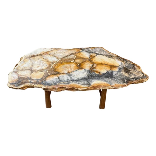 Andrianna Shamaris Beautiful Rare Petrified Wood Coffee Table For Sale
