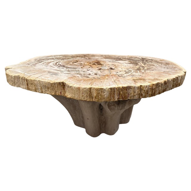 Impressive two inch thick, high quality petrified wood slab coffee table, resting on an organic white washed base. It’s...