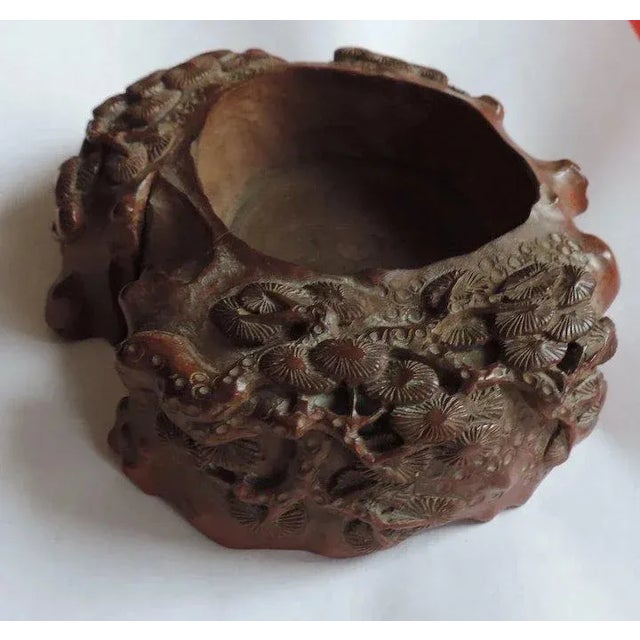 18th Century Chinese Carved Wood Scholar's Pine Branch Water Pot Brush Washer For Sale - Image 4 of 11